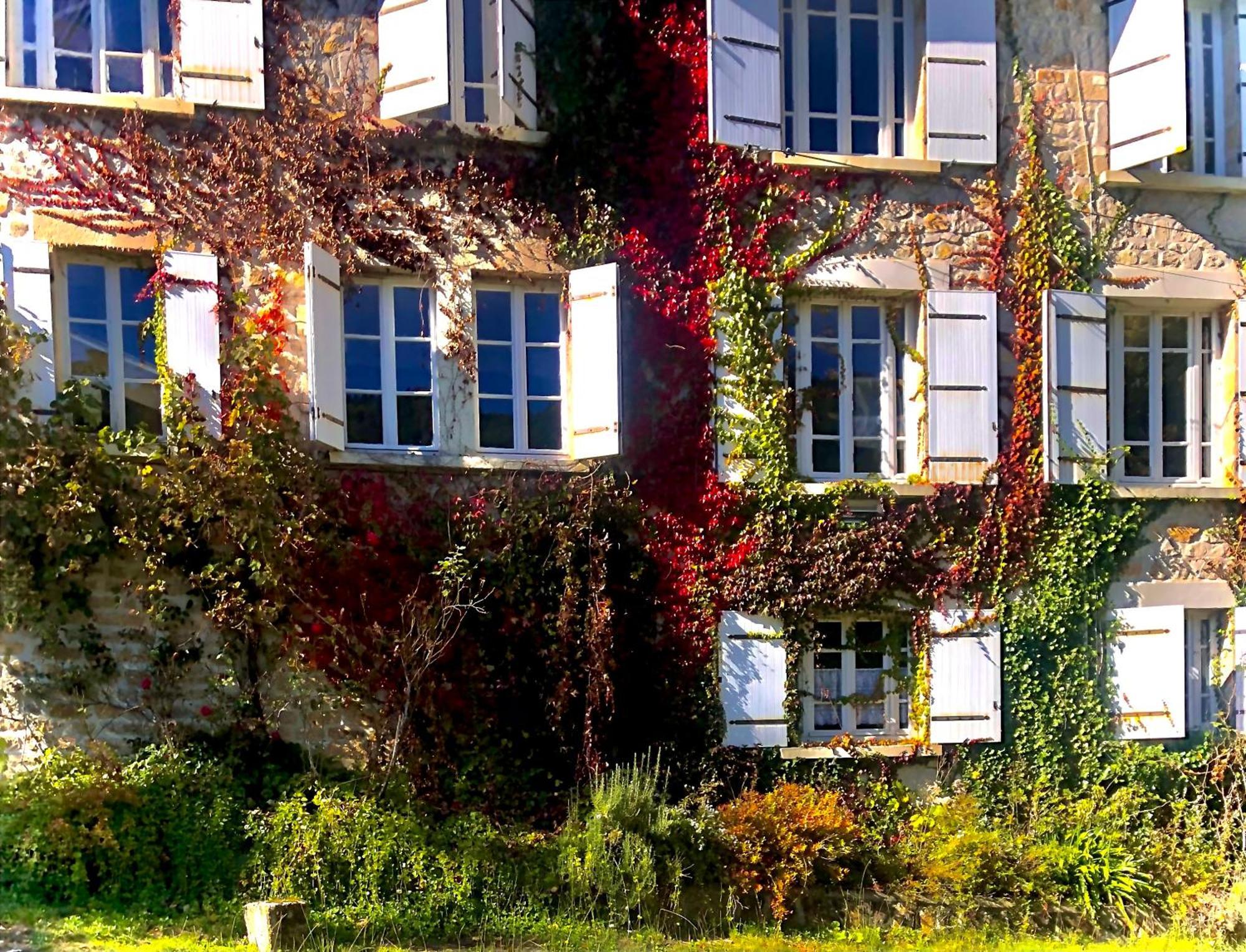 Le Chambon, Chambres D'Hotes Saint-Merd-de-Lapleau Экстерьер фото